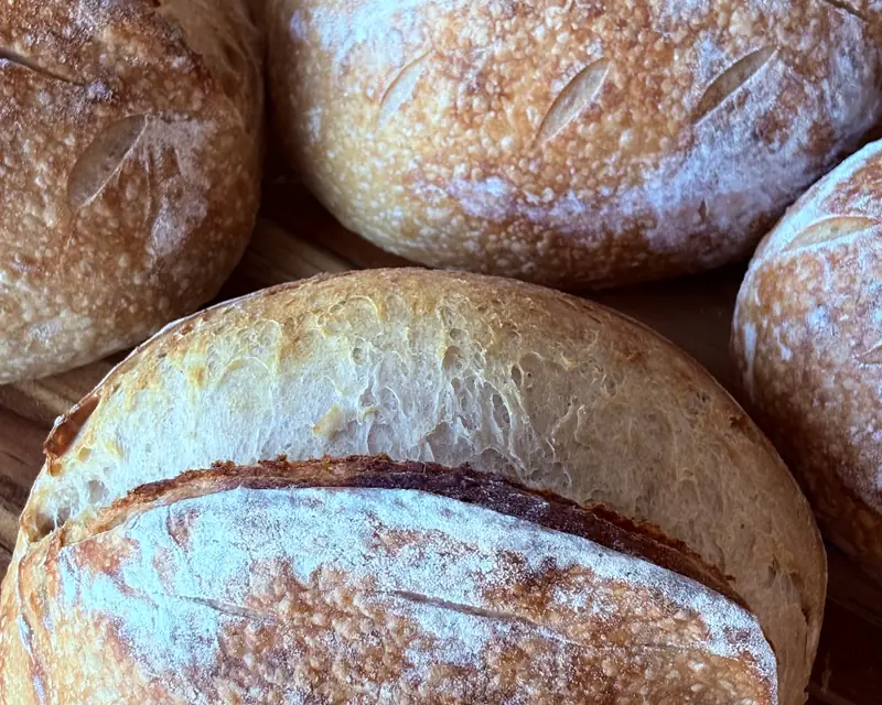 Flour-dusted organic sourdough loaves