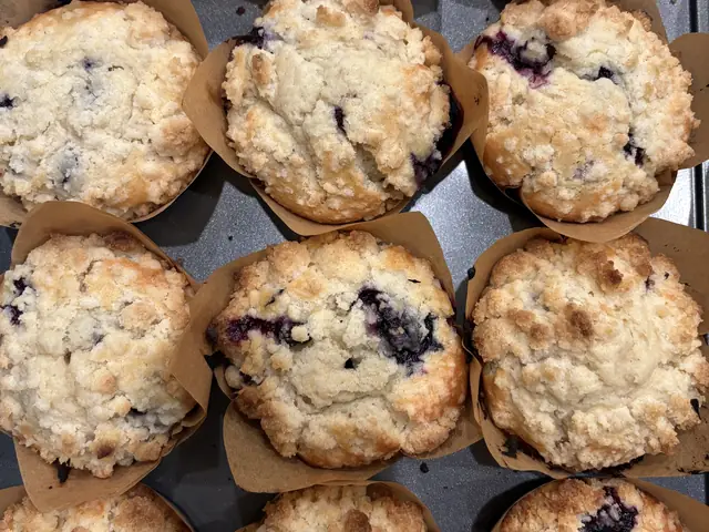 Sourdough blueberry muffins