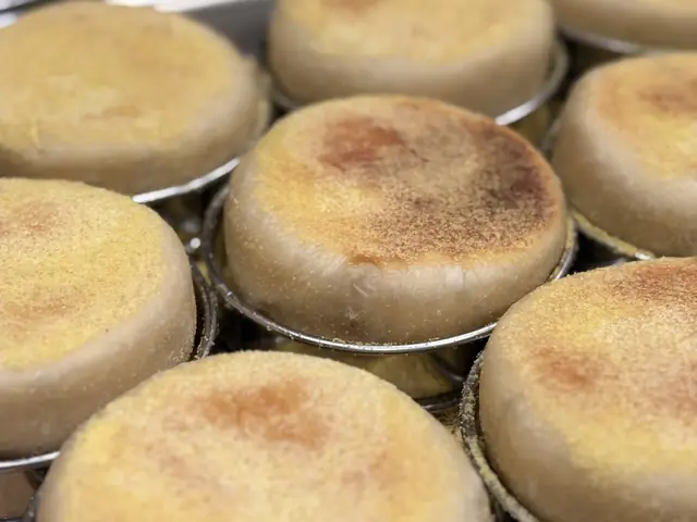 Sourdough English muffins fresh off the hot stone
